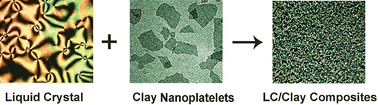 Graphical abstract: Effect of suspended clay particles on isotropic–nematic phase transition of liquid crystal