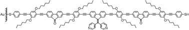 Graphical abstract: Single-molecule electrical studies on a 7 nm long molecular wire