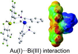 Graphical abstract: Experimental and theoretical evidence of the first Au(i)⋯Bi(iii) interaction