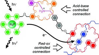 Graphical abstract: Using light to induce energy and electron transfer or molecular motions in multicomponent systems