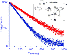 Graphical abstract: Resonance Raman and lifetime studies on regioselectively deuteriated ruthenium(ii) polypyridyl complexes