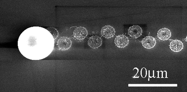 Graphical abstract: Karman vortex street assisted patterning in the growth of silicon nanowires