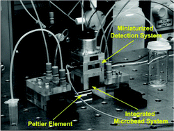 Graphical abstract: Development of an integrated microsystem for injection, transport and manipulation of encoded microbeads