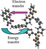 Graphical abstract: Photoinduced energy and electron transfer in 1,8-naphthalimide–corrole dyads