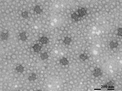 Graphical abstract: Synthesis and characterization of self-assembled block copolymer templated calcium phosphate nanocomposite gels