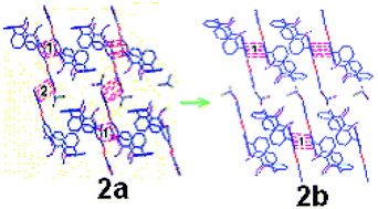 Graphical abstract: Conformational morphosis in azocalix[4]arenes