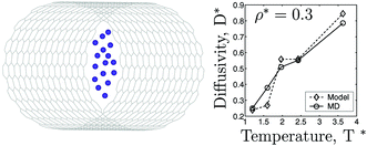 Graphical abstract: Using γ distributions to predict self-diffusivities and density of states of fluids confined in carbon nanotubes