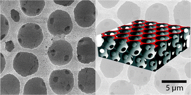 Graphical abstract: Super-hydrophobic surfaces made from Teflon