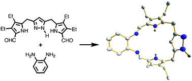 Graphical abstract: A versatile building block for pyrazole–pyrrole hybrid macrocycles