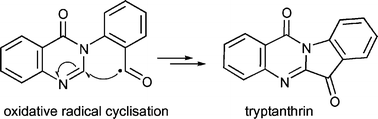 Graphical abstract: Radical reactions with 3H-quinazolin-4-ones: synthesis of deoxyvasicinone, mackinazolinone, luotonin A, rutaecarpine and tryptanthrin