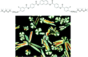 Graphical abstract: Influence of the core structure on the development of polar order and superstructural chirality in liquid crystalline phases formed by silylated bent-core molecules: naphthalene derivatives