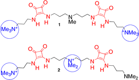 Graphical abstract: Evidence of anion-induced dimerization of a squaramide-based host in protic solvents