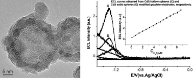 Graphical abstract: Facile synthesis of high-quality nano-sized CdS hollow spheres and their application in electrogenerated chemiluminescence sensing