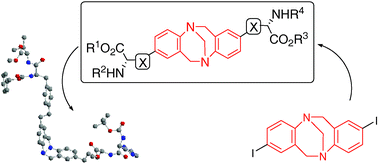 Graphical abstract: α-Amino acid Tröger base derivatives, possible conformationally restricted scaffolds?