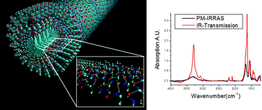 Graphical abstract: The internal structure of self-assembled peptide amphiphiles nanofibers