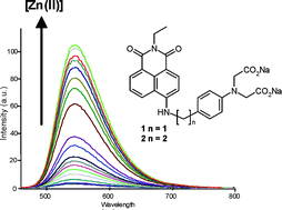 Graphical abstract: Highly selective 4-amino-1,8-naphthalimide based fluorescent photoinduced electron transfer (PET) chemosensors for Zn(ii) under physiological pH conditions