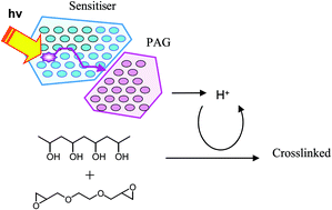 Graphical abstract: Direct and sensitised photolysis of dispersed photoacid generators to formulate water-borne photopolymers