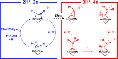 Graphical abstract: Influence of the initial bonding mode of the hydrocarbyl bridge on the mechanisms and products of the electrochemical reduction of alkyne- and vinylidene dimolybdenum tris(µ-thiolate) complexes