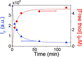 Graphical abstract: Photodegradation mechanism and reaction kinetics of recombinant human interferon-α2a