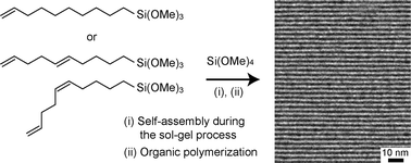 Graphical abstract: Structure and properties of multilayered siloxane–organic hybrid films prepared using long-chain organotrialkoxysilanes containing C [[double bond, length as m-dash]] C double bonds