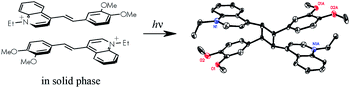 Graphical abstract: 4-Styrylquinolines: synthesis and study of [2 + 2]-photocycloaddition reactions in thin films and single crystals