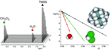 Graphical abstract: Determining accurate molecular sizes in solution through NMR diffusion spectroscopy