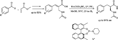 Graphical abstract: Enantioselective synthesis of β2-amino acids using rhodium-catalyzed hydrogenation
