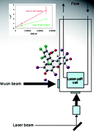 Graphical abstract: Laser-muon spin spectroscopy in liquids—A technique to study the excited state chemistry of transients