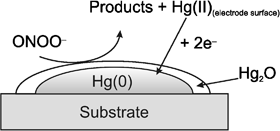 Graphical abstract: The voltammetric determination of peroxynitrite at a mercury film electrode