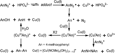 Graphical abstract: An investigation of the reduction in aqueous acetonitrile of 4-methoxybenzenediazonium ion by the tetrakis(acetonitrile)Cu(i) cation catalysed by hydrogenphosphate dianion
