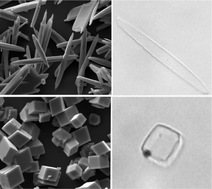 Graphical abstract: Anisotropic nano-papier mache microcapsules