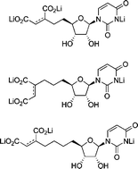 Graphical abstract: Synthesis and biological evaluation of nucleoside dicarboxylates as potential mimics of nucleoside diphosphates