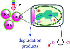 Graphical abstract: Synthesis of molecular imprinted polymer coated photocatalysts with high selectivity