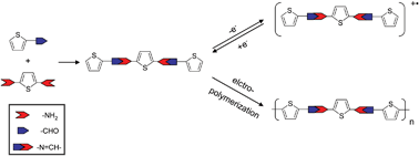 Graphical abstract: Photophysical, crystallographic, and electrochemical characterization of novel conjugated thiopheno azomethines