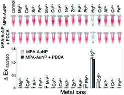 Graphical abstract: Parameters for selective colorimetric sensing of mercury(ii) in aqueous solutions using mercaptopropionic acid-modified gold nanoparticles