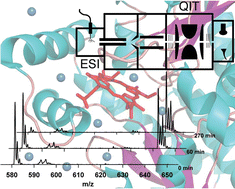 Graphical abstract: Electrospray ionization mass spectrometry in enzymology: uncovering the mechanisms of two-substrate reactions