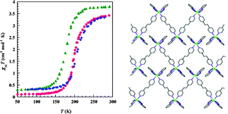 Graphical abstract: Spin crossover behavior in a family of iron(ii) zigzag chain coordination polymers