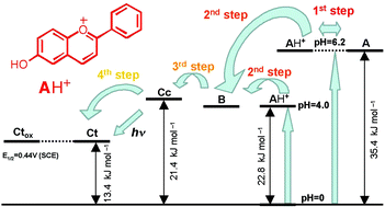 Graphical abstract: The chemistry of 6-hydroxyflavylium: zwitterionic base and p-quinoidal chalcones. A multiswitchable system operated by proton, electron and photon inputs
