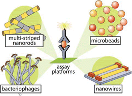 Graphical abstract: Heightened sense for sensing: recent advances in pathogen immunoassay sensing platforms