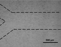 Graphical abstract: A cell-laden microfluidic hydrogel