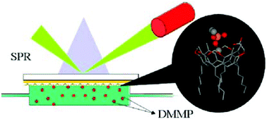 Graphical abstract: Supramolecular surface plasmon resonance (SPR) sensors for organophosphorus vapor detection
