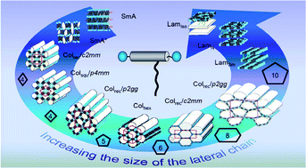 Graphical abstract: Liquid crystal engineering – new complex mesophase structures and their relations to polymer morphologies, nanoscale patterning and crystal engineering