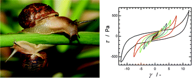 Graphical abstract: Rheological fingerprinting of gastropod pedal mucus and synthetic complex fluids for biomimicking adhesive locomotion