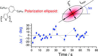 Graphical abstract: Redistribution of emitting state population in conjugated polymers probed by single-molecule fluorescence polarization spectroscopy