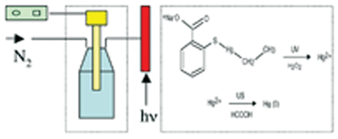 Graphical abstract: Greener analytical method for determination of thiomersal (sodium ethylmercurithiosalicylate) in ophthalmic solutions using sono-induced cold vapour generation-atomic absorption spectrometry after UV/H2O2 advanced oxidation