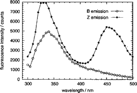 Graphical abstract: Intrinsic fluorescence of B and Z forms of poly d(G-m5C)·poly d(G-m5C), a synthetic double-stranded DNA: spectra and lifetimes by the maximum entropy method