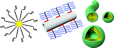 Graphical abstract: Self-assembled multivalent carbohydrate ligands