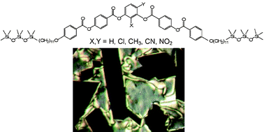 Graphical abstract: Influence of the core structure on the development of polar order and superstructural chirality in liquid crystalline phases formed by silylated bent-core molecules: lateral substituents