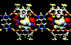 Graphical abstract: Chain-link hydrogen-bonded capsules