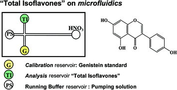 Graphical abstract: Electrochemical valveless flow microsystems for ultra fast and accurate analysis of total isoflavones with integrated calibration